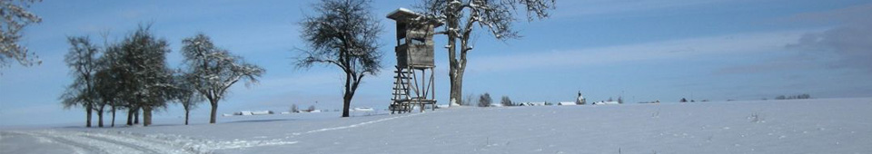 Kulturforum Südliche Bergstraße e.V
