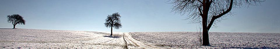 Kulturforum Südliche Bergstraße e.V